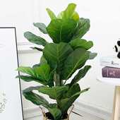 仿真花客厅摆设卧室落地仿生绿植假花盆栽摆件叶龟背室内装 饰