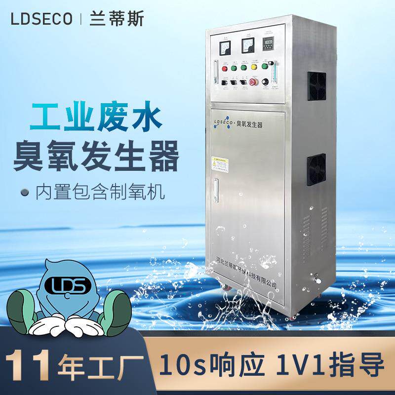兰蒂斯大型污水处理氧气源臭氧发生器 工业废水消毒脱色臭氧机