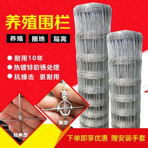 热镀锌牛栏网果园围栏网养牛马羊