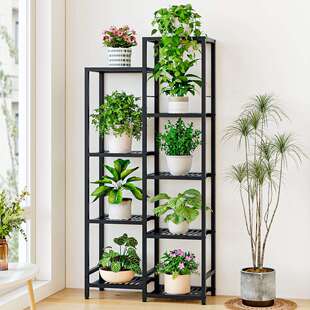 花架子多层室内家用阳台收纳置物架铁艺客厅简约花盆多层挂架绿萝