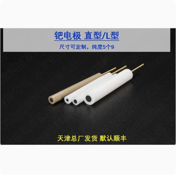 天津艾达恒晟 圆盘电极 钯电极 可开票 原厂直接发货