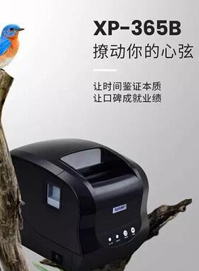 芯烨X-（36P5B新）热敏标签条码打印机不365B干胶印机服装吊牌超