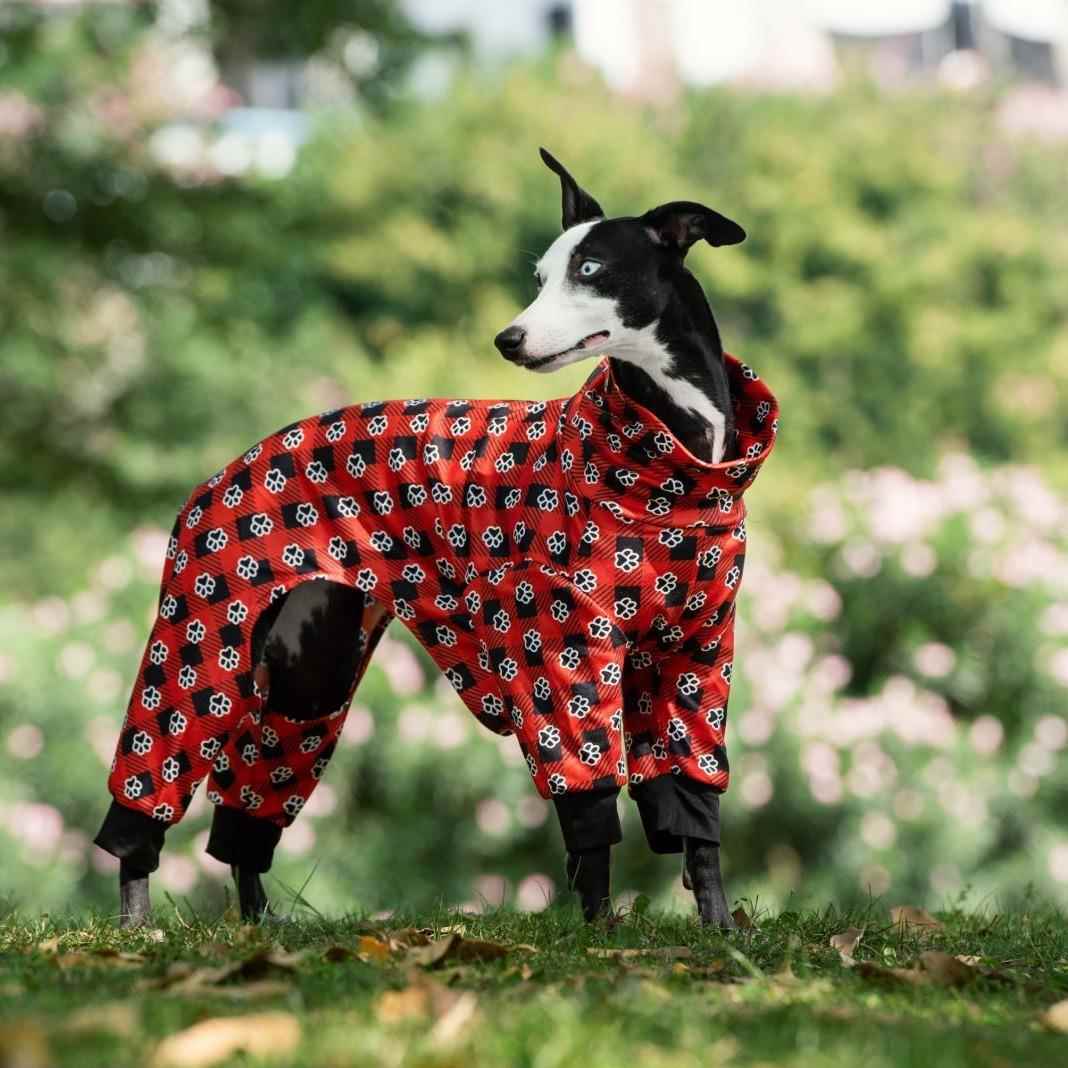 狗狗四腿全包衣服秋冬款加厚保暖大灵缇惠比特细犬防水新年红棉袄