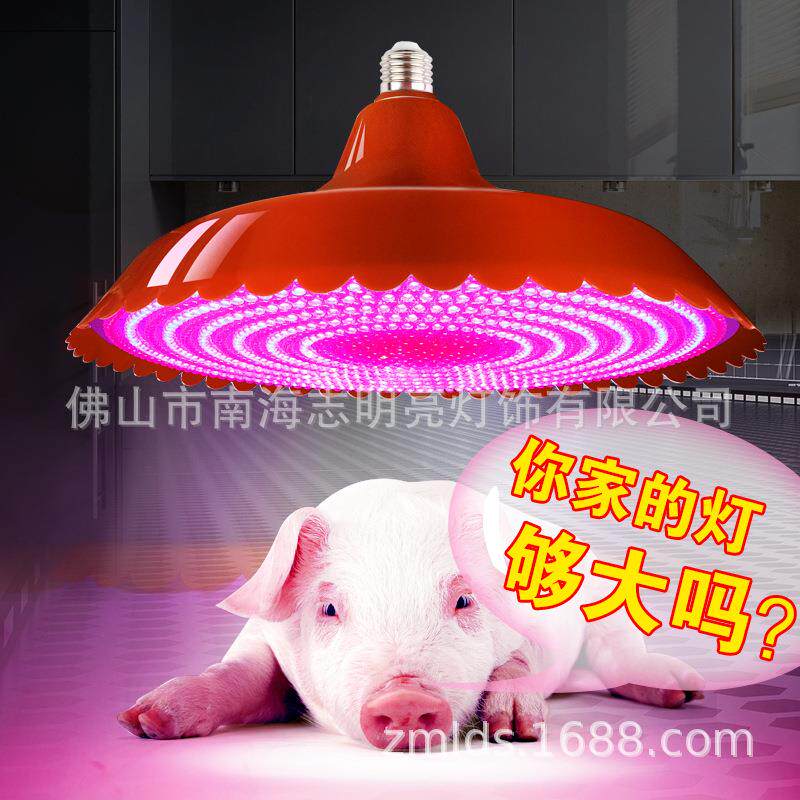 248珠卖冷鲜肉LED生40477鲜灯超亮水果专灯用吊市场海鲜1熟食灯加