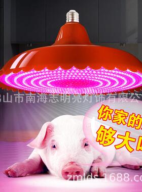 248珠卖冷鲜肉LED生40477鲜灯超亮水果专灯用吊市场海鲜1熟食灯加