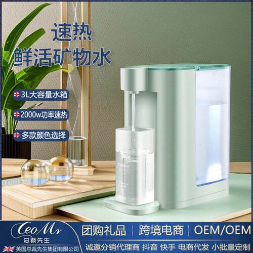 外贸立式饮水机小型办公瞬热式饮水器烧水壶冲奶泡茶迷你家用速热