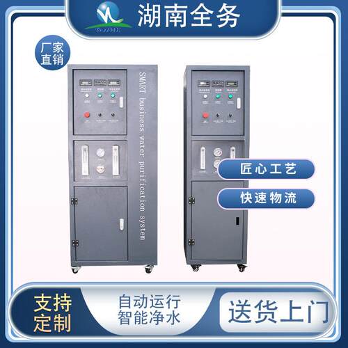净水器商业用机0.25-1吨单双级反渗透RO纯净水柜去离子水处理设备