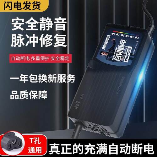 自动断电电动车电瓶车大功率充电器48V60V72V20AH两轮三轮车通用