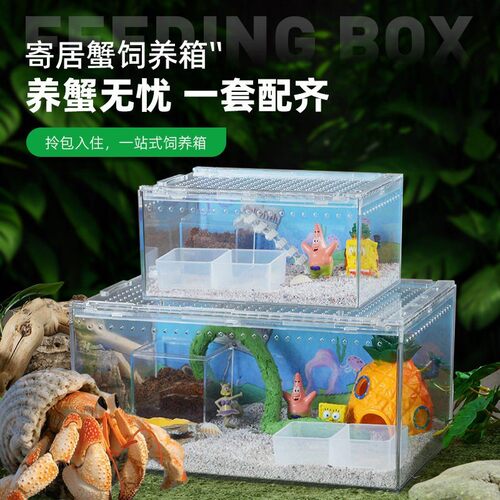 寄居蟹饲养盒豪华别墅压克力生态缸高透光新手进阶造景塑料套装箱