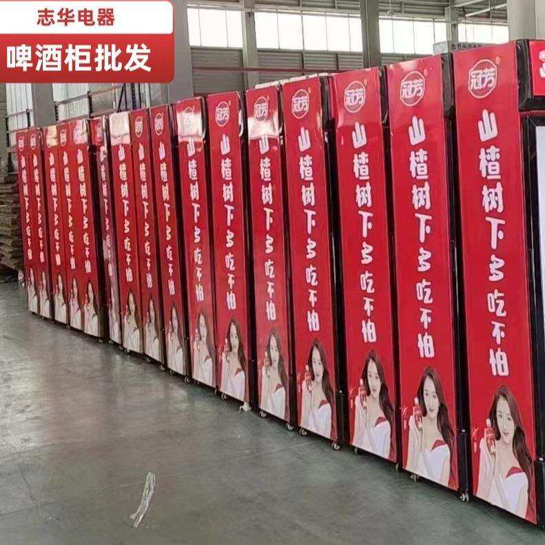 哇哈哈饮料柜冷藏柜保鲜柜展示柜单门商用超市双门立式啤酒柜冰柜