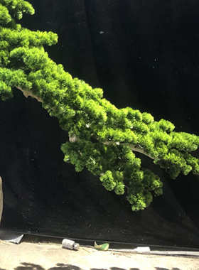 新中式绿色植物仿真树 枯山水室内大型摆件 酒店大堂装饰景观树