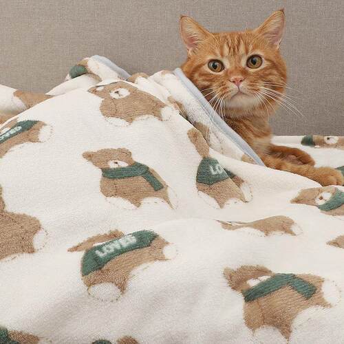 宠物猫毯子四季睡觉被子奶毛沙发