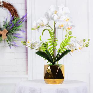 家居装 花艺手感仿真植物假花盆景 饰客厅摆件仿真花蝴蝶兰盆栽套装