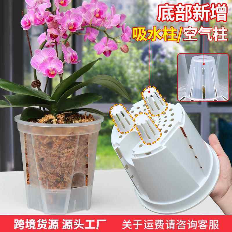 亚马逊新款储水透明青山盆蝴蝶兰透气控根盆自吸水花盆塑料懒人盆