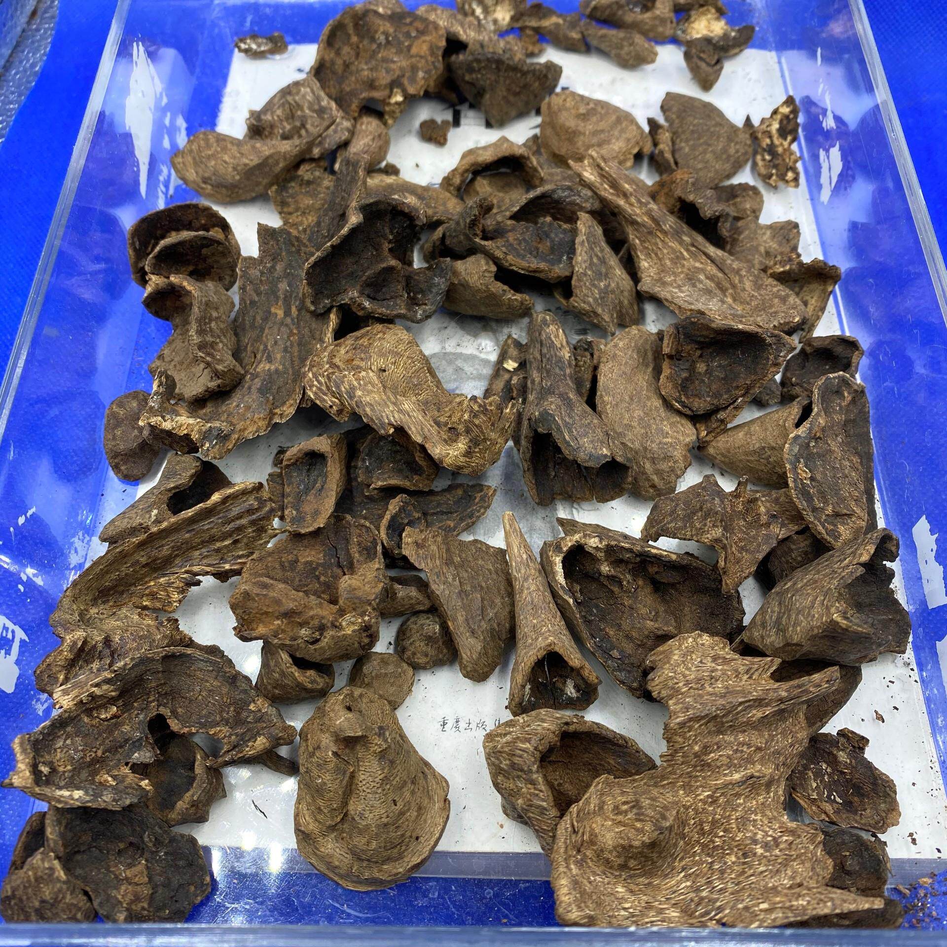 【两百年芽庄沉水包头壳子沉香】老沉水壳子上炉熏香花香蜜香凉甜