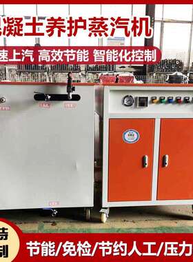 桥梁养护汽生器全自蒸动电EXN蒸汽生器管道养护电发加热发蒸汽发