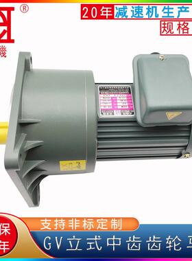 牌GV立式齿轮马达相/三相速中型小金刚工业级