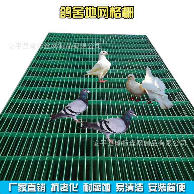 鸽舍地网格栅养殖家畜漏粪板赛鸽公棚铺地热镀锌铁网笼子底脚踏网