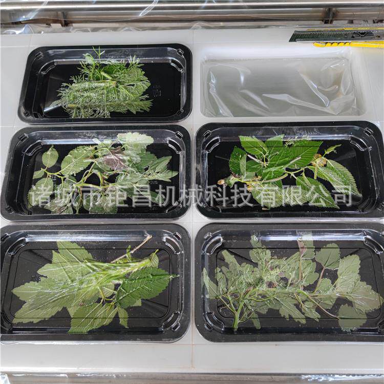 家蛹贴体包装机厂 生片贴体包蚕包装机