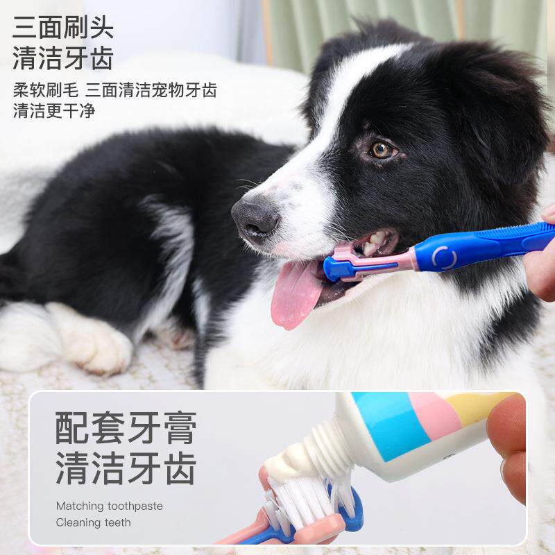 宠物用品 宠物牙膏套装 狗狗牛肉味牙膏手指牙刷三头牙刷套装