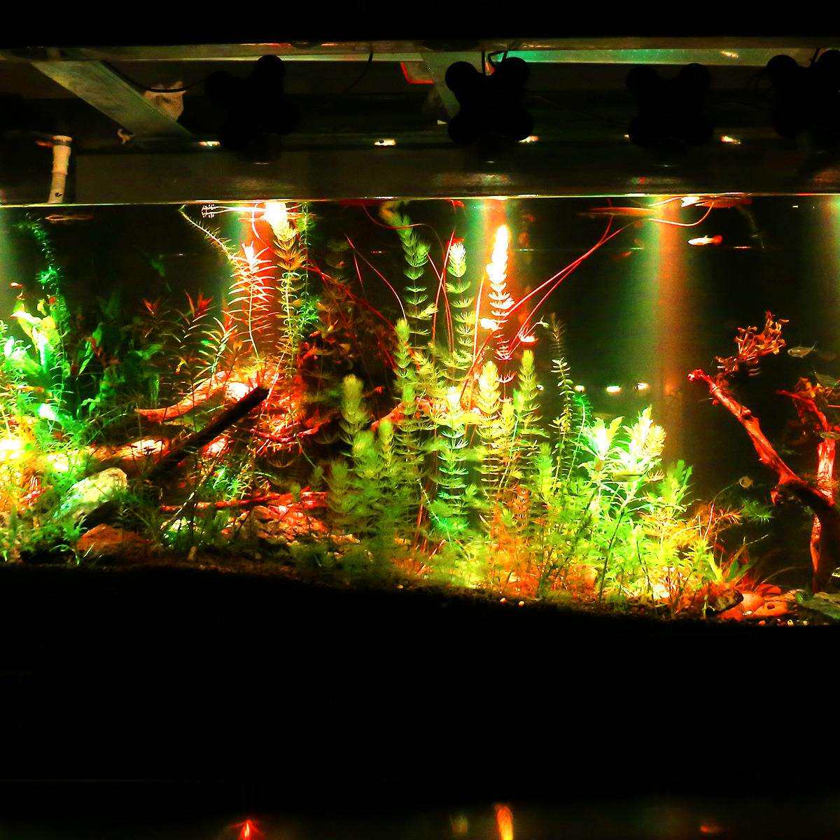 水族射灯摇控RGB防水LED水族鱼缸灯水底潜水庭院景观七彩筒射灯
