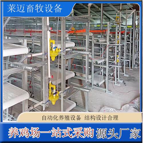 鸡笼防锈三层立式肉鸡笼养殖养鸡设备肉鸡笼热镀锌高效养殖自动化
