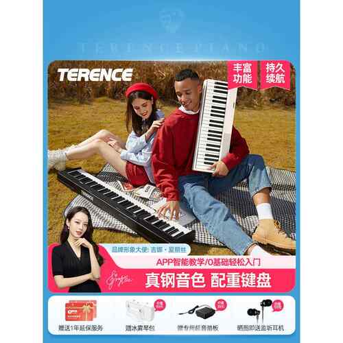 Terrence V 70%优惠堆叠数字钢琴专业88键盘便携式初学者家庭练习