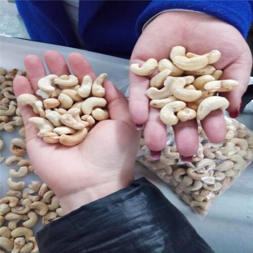 连续式微波机 坚果灭菌除虫卵设备 方便的灭菌机