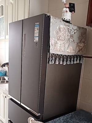 海尔BCD-411WDSKU1怎么样？用后一年不后悔有必须分享下感受