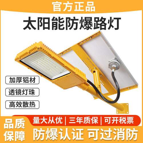 LED防爆太阳能路灯加油站加气站化工厂防爆灯6米杆投光灯户外灯