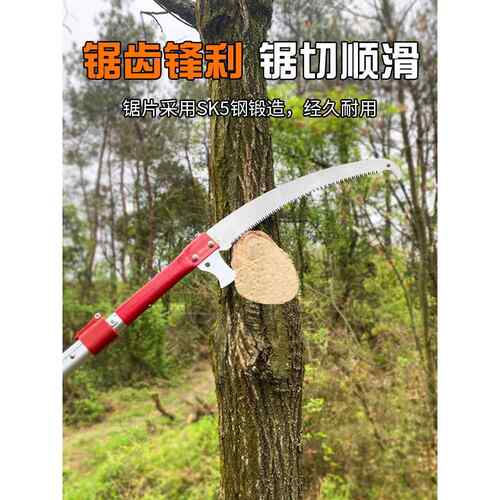 园林工具加长杆伸缩高枝锯手工锯果树修剪修枝锯高空锯树枝修树锯