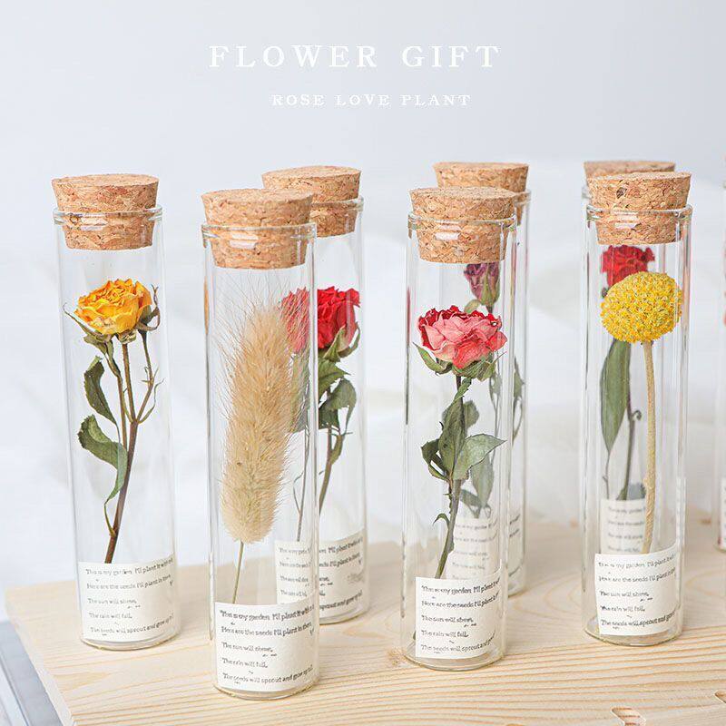 小红花玻璃试管花束永生许愿干花
