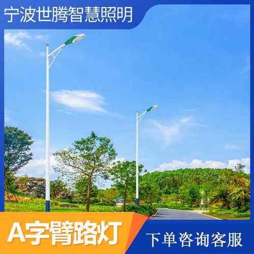 LED市政市电路灯户外防水市政工程超亮大功率路灯新农村道路照明