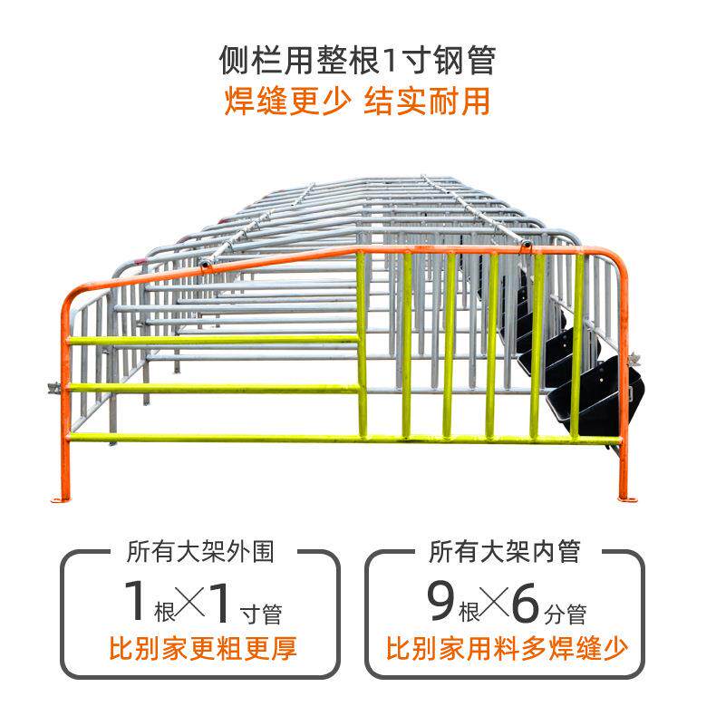 母猪定位栏限位栏母猪落地式定位栏母猪定位栏全套落地母猪限位栏