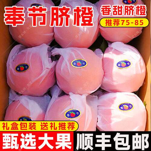 顺丰重庆奉节脐橙伦晚纽荷尔72-1礼盒20大果新鲜水果现摘带叶10