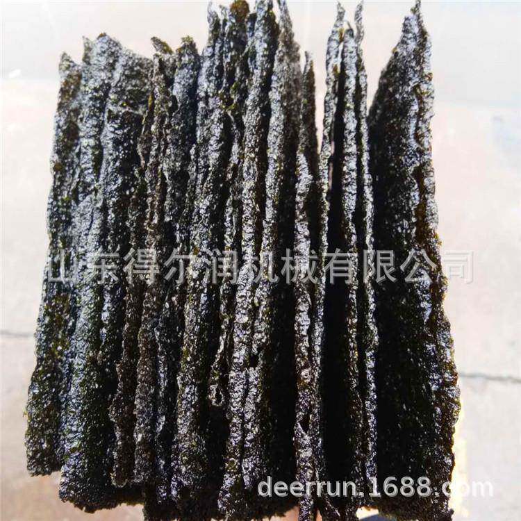 鼓泡海苔油炸机 自动连续油炸生产线 DER-3000 撒粉海苔加工设备
