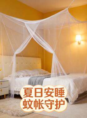 蚊帐家用卧室高级感出租屋绑绳网纱白色防蚊农村1.8米大床传统