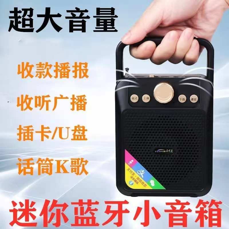 手提音箱家用广场舞便携多功能音箱话筒带收音机无线蓝牙户外音响