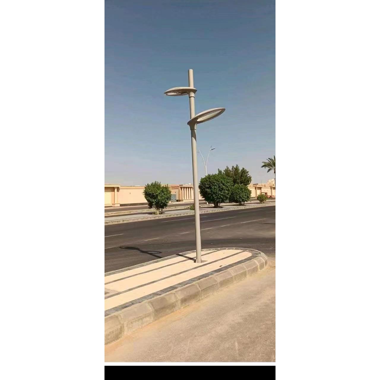 3米LED路灯庭院灯景观灯户外防水简约轻奢公园小区别墅园林广场