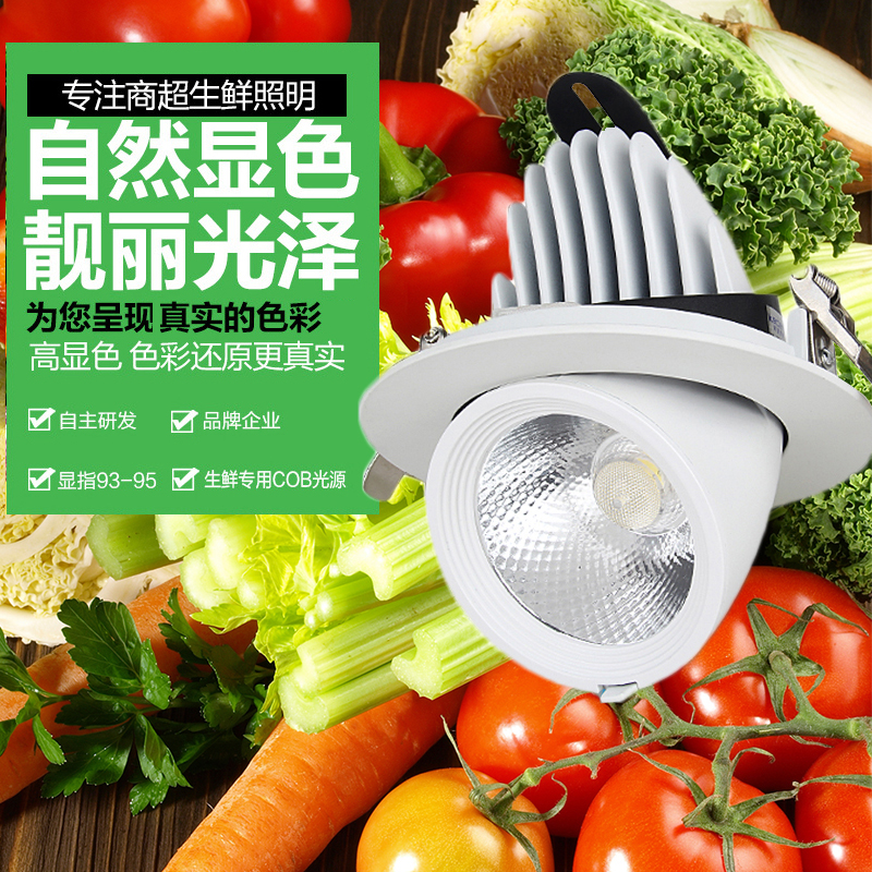 LED生鲜灯嵌入式筒灯COB猪肉象鼻灯超市40W鲜肉水果水产专用射灯