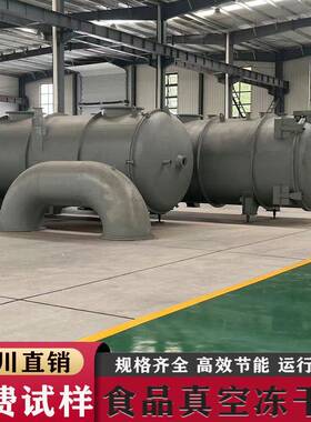 商用低温脱水设备苹果片自动化真空冷冻干燥机香蕉真空冻干机