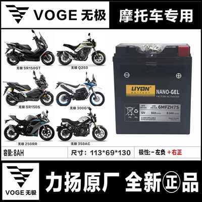 无极SR150GT 250GT 300R 500DS 350AC 300DS 525RR GY DS900X电瓶