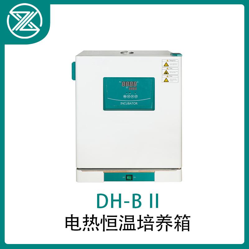 电热恒温培养箱超温保护干燥箱细菌培养出口烘箱跨境立式恒温箱