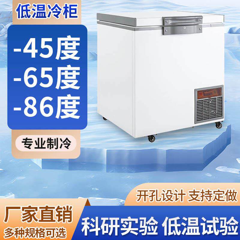 低温试验箱高低温实验室冰箱保存箱工业冰柜金枪鱼海鲜小型冷冻箱