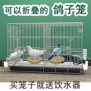 鸽子笼养鸽子专用笼养殖笼家用繁殖笼配对笼大号新型鸽舍鸽子笼子