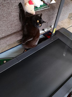 小米生态链 R1智能跑步机怎么样?到底质量差不差?