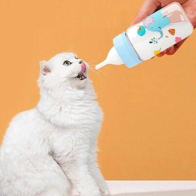 Puppy Kitten Feeding Bottle Feeder Set Cat Dog Bady Nursing