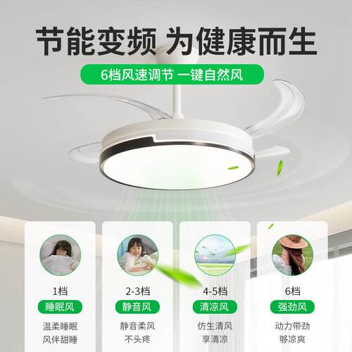 隐形风扇灯2025新款超静音42寸48寸吊扇灯吸顶家用客厅餐厅卧室电