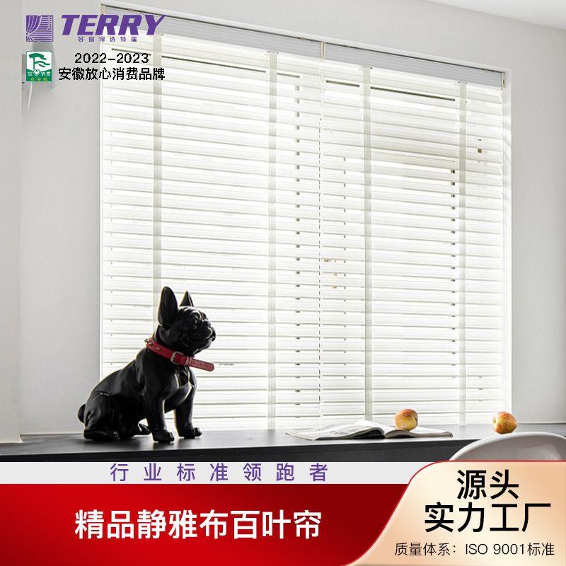 特瑞布百叶帘卷帘电动蕾丝百叶窗帘书房卧室遮光朗丝帘拉珠升降帘