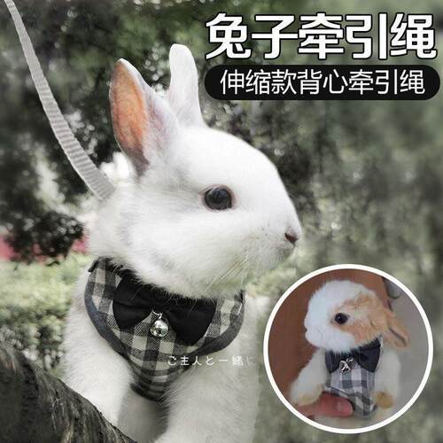 兔子衣服牵引绳夏天溜小兔子穿的防挣脱可爱侏儒兔专用宠物户外